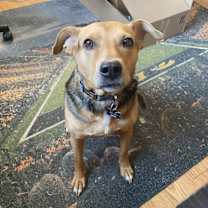 Thumbnail photo of Mickey #4