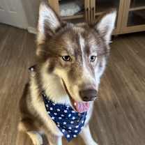 Thumbnail photo of Baki #2