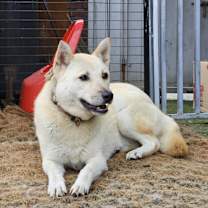 Thumbnail photo of Taeyeon #4