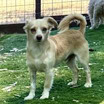 Thumbnail photo of Alvin #1