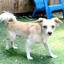 Thumbnail photo of Alvin #2