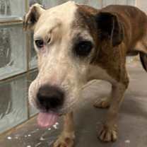 Thumbnail photo of Arthur #2