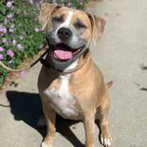 Thumbnail photo of Lola #2