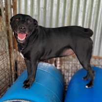 Thumbnail photo of Laverne #1