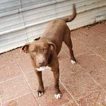 Thumbnail photo of Lamar #3