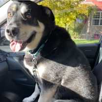 Thumbnail photo of Bane - Courtesy Posting #1