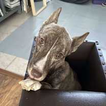 Thumbnail photo of Lily Luz #3