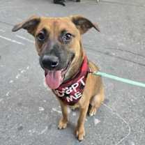 Thumbnail photo of Berlin #2