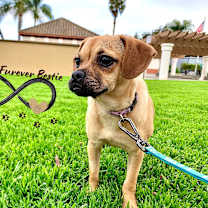 Thumbnail photo of Fabiola #1