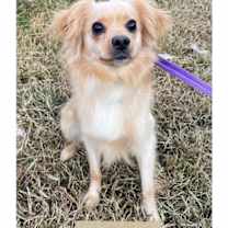 Thumbnail photo of Tinky-Winky #1