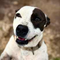 Thumbnail photo of Nike #2