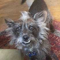 Thumbnail photo of Rusty #3