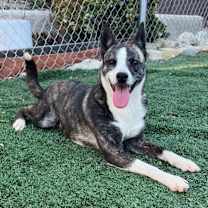 Thumbnail photo of SPARTA #1