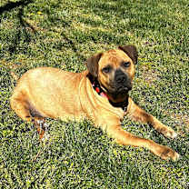 Thumbnail photo of Angel #2