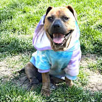 Thumbnail photo of Angel #3