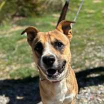 Thumbnail photo of RILEY #2