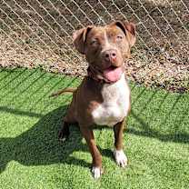 Thumbnail photo of Nora #1