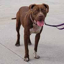 Thumbnail photo of Nora #2