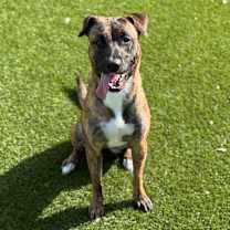 Thumbnail photo of Lowkey 5489 #1