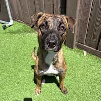 Thumbnail photo of Lowkey 5489 #2