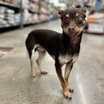 Thumbnail photo of Snack #3