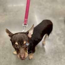 Thumbnail photo of Snack #4