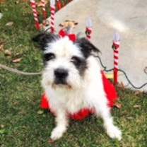 Thumbnail photo of Barbie #2