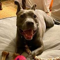 Thumbnail photo of Piggy (I Have a Secret Crush!) #2