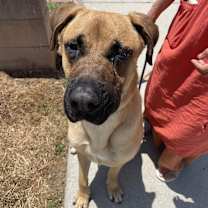 Thumbnail photo of Rigby #2