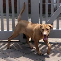 Thumbnail photo of Ruth #2