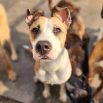 Thumbnail photo of Sedona #1