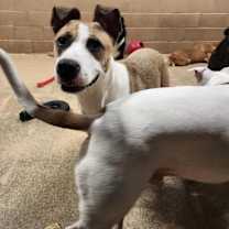 Thumbnail photo of Sedona #3