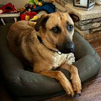 Thumbnail photo of Rudy #1