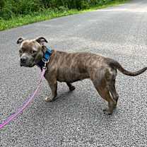 Thumbnail photo of Sugar #2