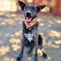 Thumbnail photo of Roger #1