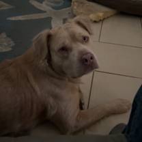 Thumbnail photo of Axel #1