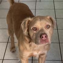 Thumbnail photo of Axel #3