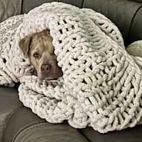 Thumbnail photo of Axel #4