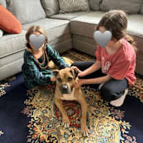 Thumbnail photo of Corbin #3