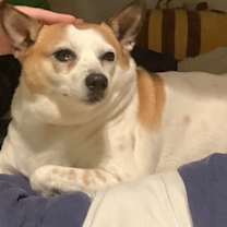 Thumbnail photo of Popcorn (Courtesy Post) #2