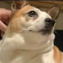 Thumbnail photo of Popcorn (Courtesy Post) #3