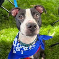 Thumbnail photo of 162834 Abby FKA Sesame Street #2