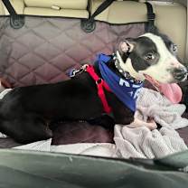 Thumbnail photo of 162834 Abby FKA Sesame Street #3