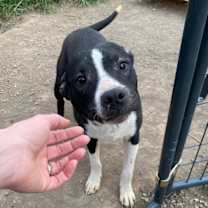 Thumbnail photo of Parker #4