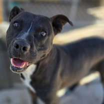 Thumbnail photo of River #1