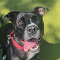 Thumbnail photo of Bo 💎 #1