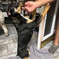 Thumbnail photo of Zipper #2