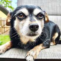 Thumbnail photo of Zoey #1