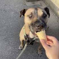 Thumbnail photo of Corbin #4