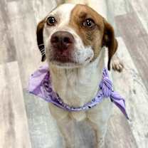 Thumbnail photo of Layla #1